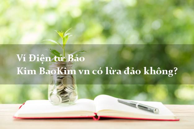 Ví Điện tử Bảo Kim BaoKim vn có lừa đảo không?