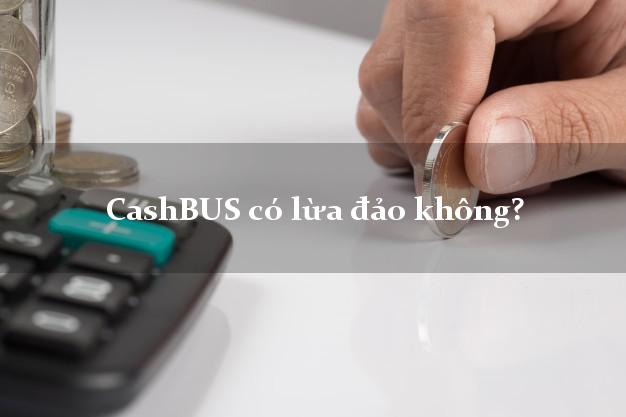 CashBUS có lừa đảo không?