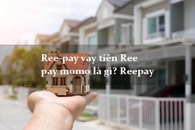 Ree-pay vay tiền Ree pay momo là gì? Reepay