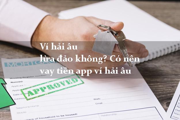 Ví hải âu lừa đảo không? Có nên vay tiền app ví hải âu