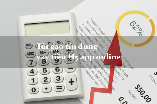 Túi gạo tín dụng vay tiền H5 app online